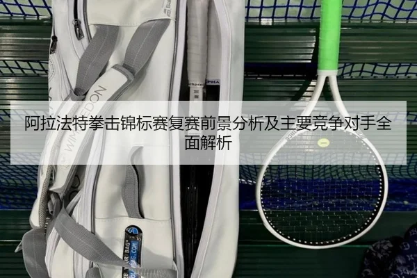阿拉法特拳击锦标赛复赛前景分析及主要竞争对手全面解析（Wanmei）